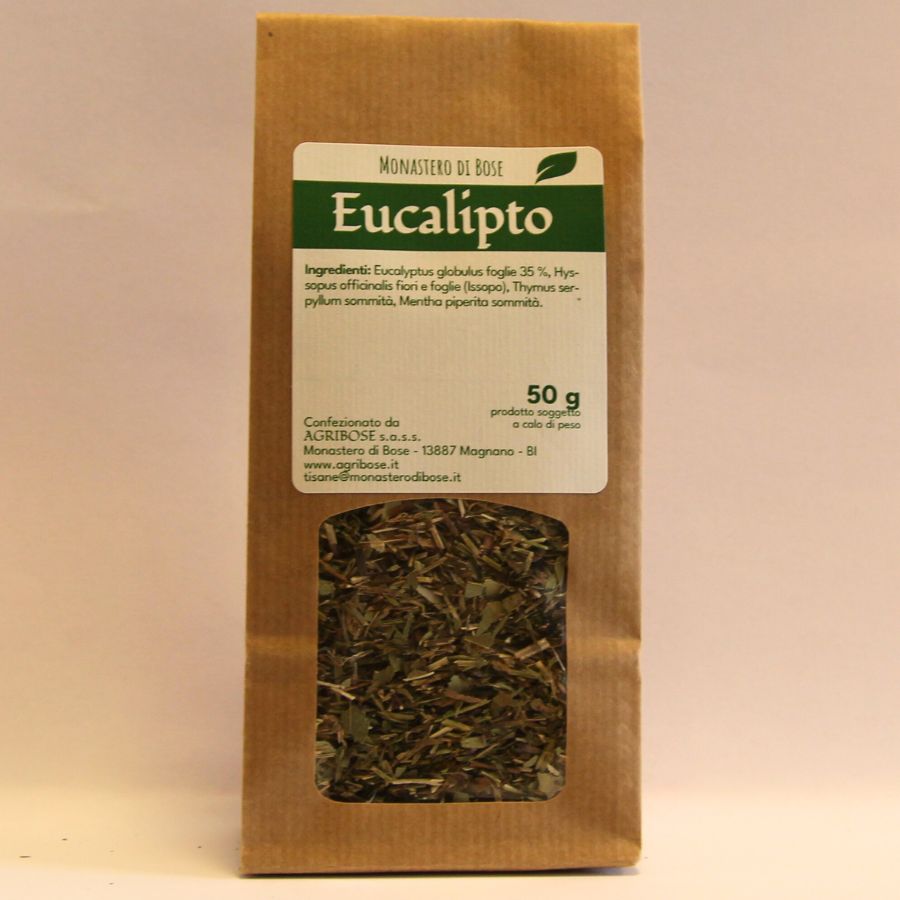 Eucalipto